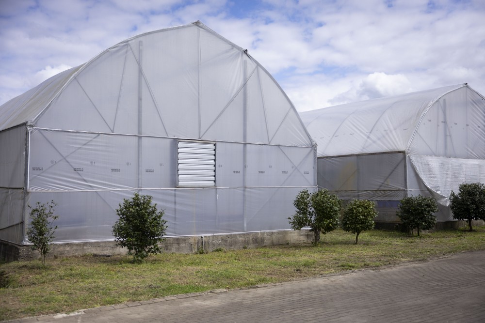 „სოფლისა და სოფლის მეურნეობის განვითარების ხელშეწყობა აჭარაში“