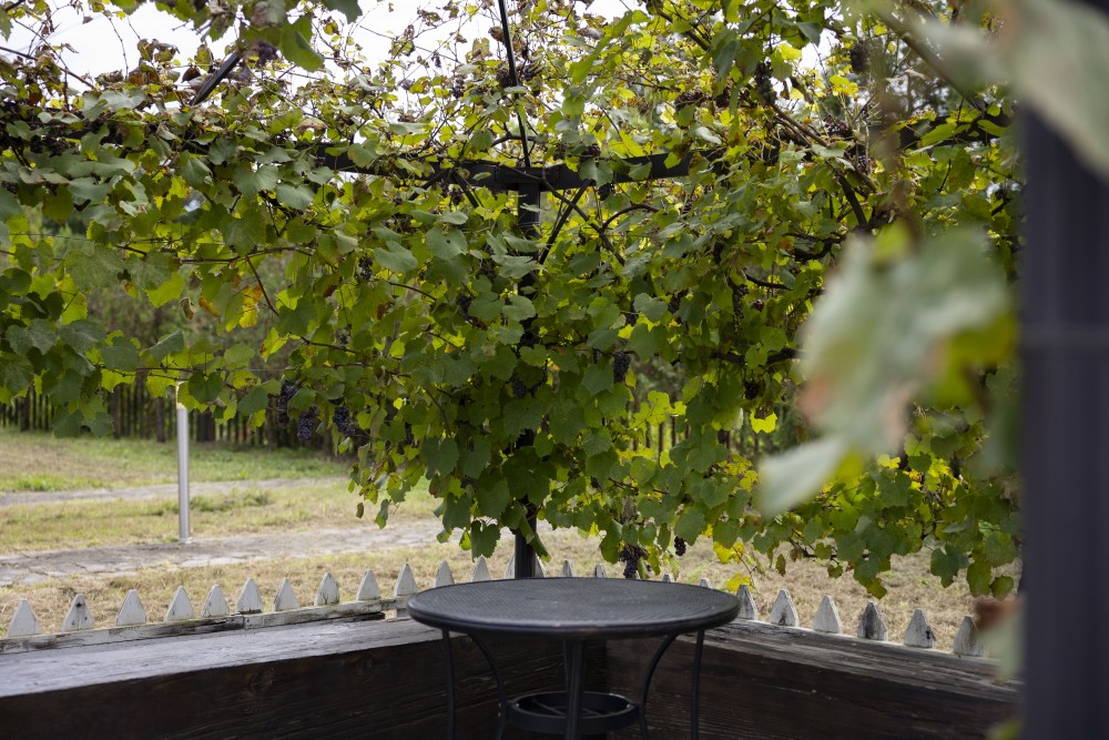 „სოფლისა და სოფლის მეურნეობის განვითარების ხელშეწყობა აჭარაში“