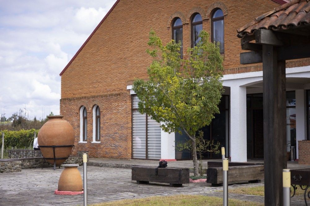 „სოფლისა და სოფლის მეურნეობის განვითარების ხელშეწყობა აჭარაში“