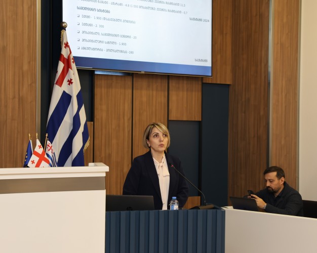 პლენარულ სხდომაზე აჭარის ჯანმრთელობისა და სოციალური დაცვის მინისტრს და უსკოს თავმჯდომარეს მოუსმინეს