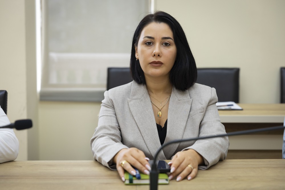 საკონსტიტუციო, იურიდიულ და საპროცედურო საკითხთა კომიტეტის  სხდომა