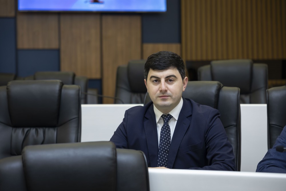 რიგგარეშე პლენარული სხდომა