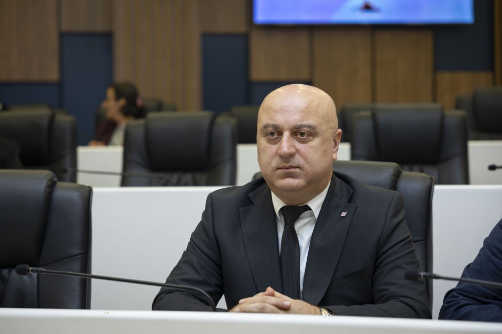 რიგგარეშე პლენარული სხდომა