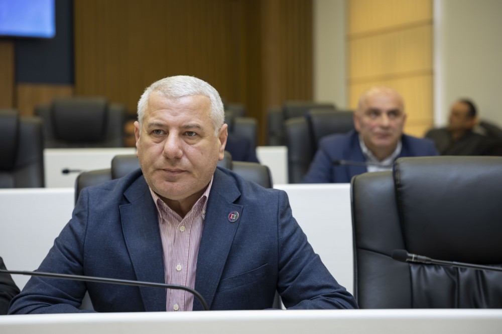 რიგგარეშე პლენარული სხდომა