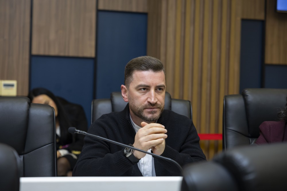 რიგგარეშე პლენარული სხდომა