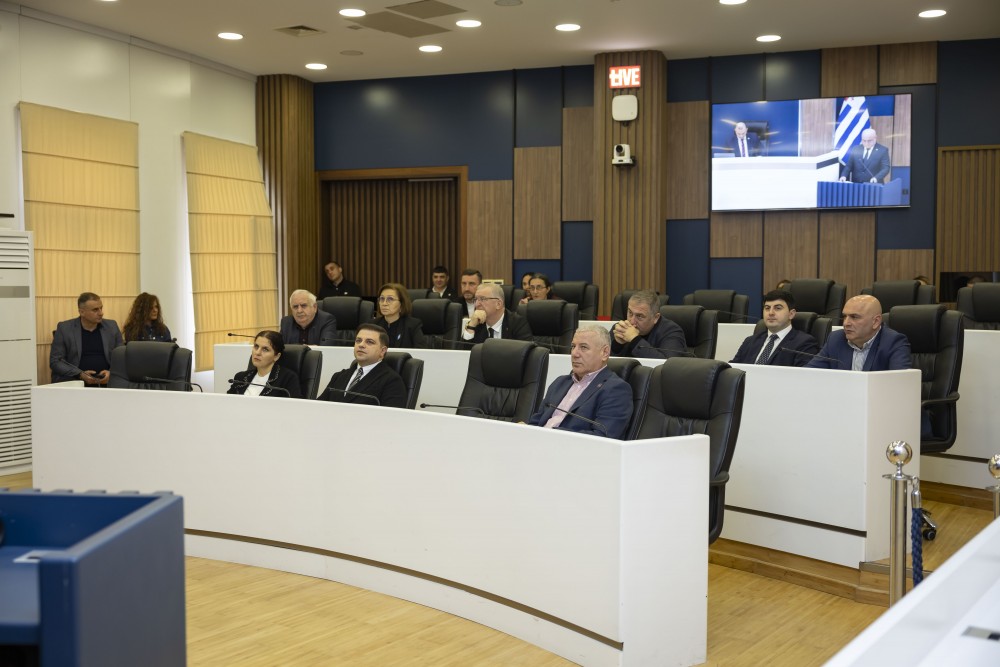 რიგგარეშე პლენარული სხდომა