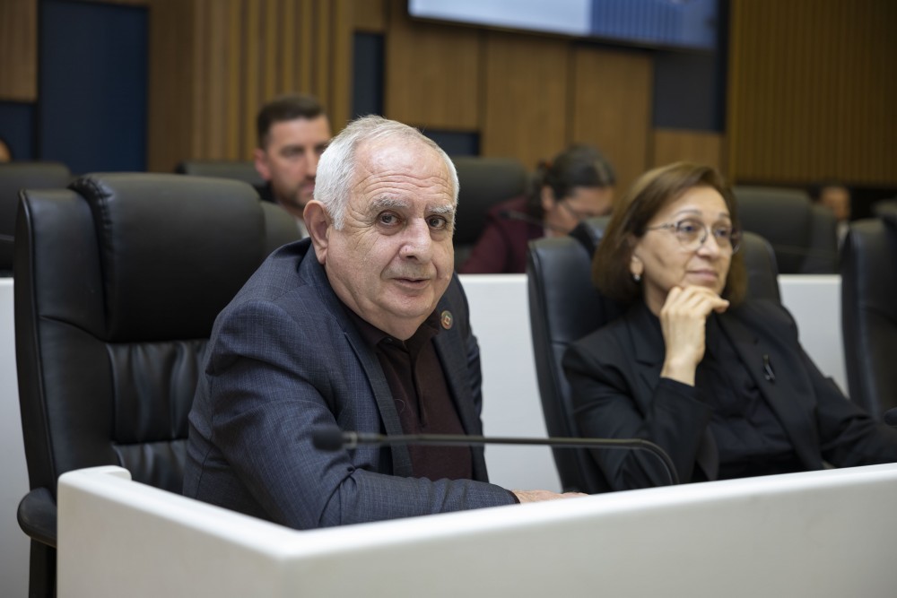 რიგგარეშე პლენარული სხდომა