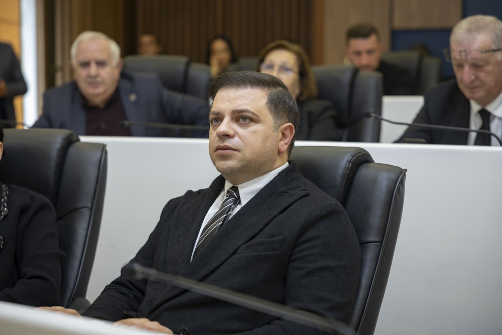 რიგგარეშე პლენარული სხდომა