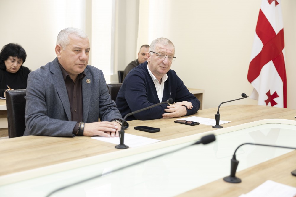 აჭარის უმაღლეს საბჭოში ქალთა და ბავშვთა საკითხებზე მომუშავე საბჭო შეიქმნება