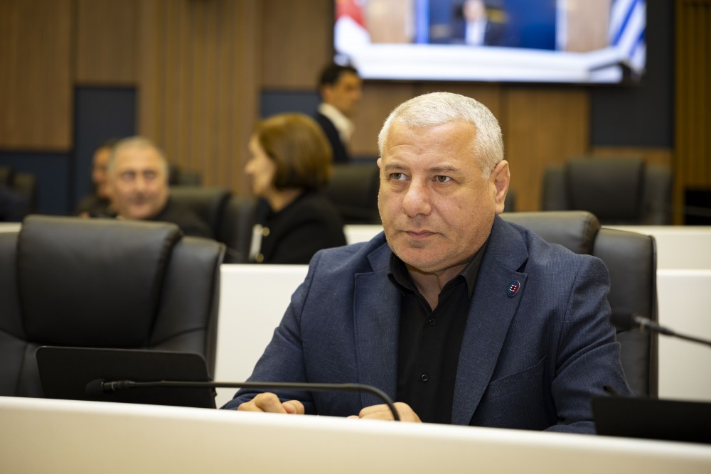 ვახტანგ ბერიძესა და მამუკა თურმანიძეს ვადამდე შეუწყდათ უმაღლესი საბჭოს წევრის უფლებამოსილება