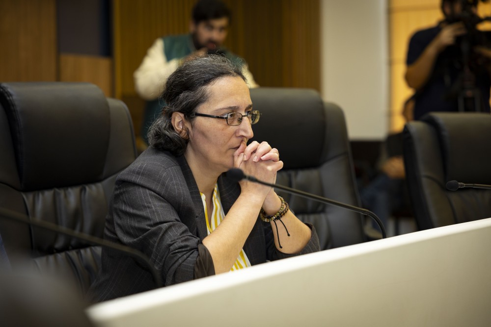 ვახტანგ ბერიძესა და მამუკა თურმანიძეს ვადამდე შეუწყდათ უმაღლესი საბჭოს წევრის უფლებამოსილება