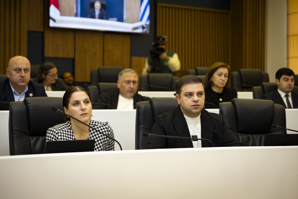 ვახტანგ ბერიძესა და მამუკა თურმანიძეს ვადამდე შეუწყდათ უმაღლესი საბჭოს წევრის უფლებამოსილება