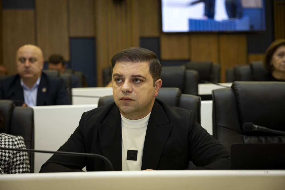 ვახტანგ ბერიძესა და მამუკა თურმანიძეს ვადამდე შეუწყდათ უმაღლესი საბჭოს წევრის უფლებამოსილება