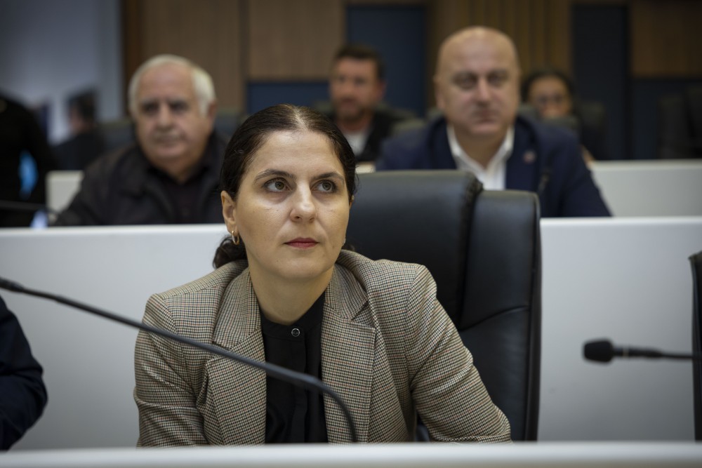 უმაღლესმა საბჭომ ნადიმ ვარშანიძისა და ილია ვერძაძის უფლებამოსილება ცნო