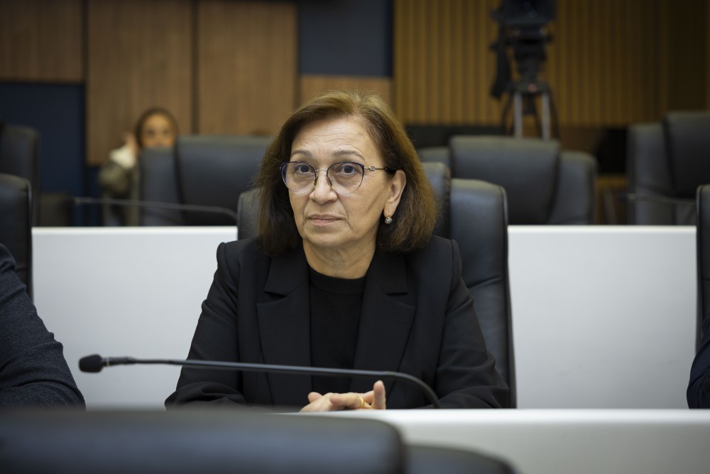 უმაღლესმა საბჭომ ნადიმ ვარშანიძისა და ილია ვერძაძის უფლებამოსილება ცნო