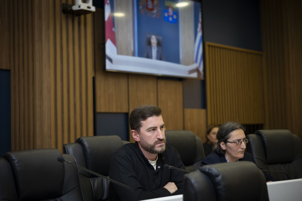 უმაღლესმა საბჭომ ნადიმ ვარშანიძისა და ილია ვერძაძის უფლებამოსილება ცნო