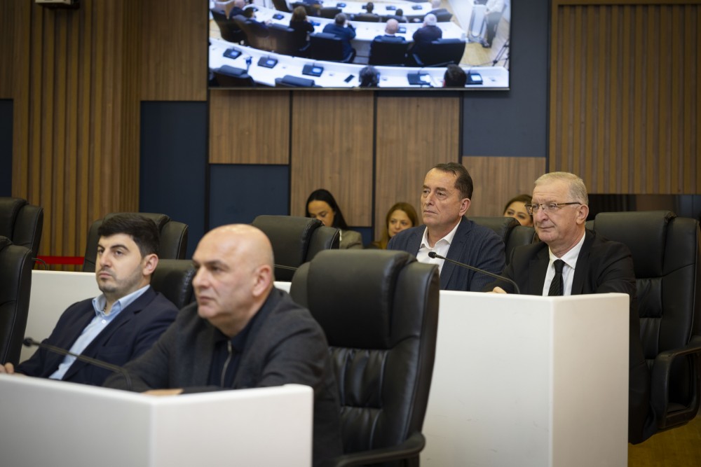 უმაღლესმა საბჭომ ნადიმ ვარშანიძისა და ილია ვერძაძის უფლებამოსილება ცნო