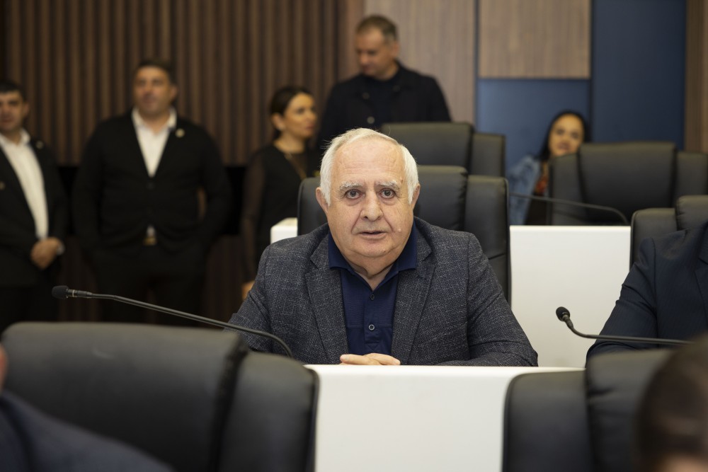 უმაღლეს საბჭოში ორი დარგობრივი კომიტეტის თავმჯდომარე აირჩიეს