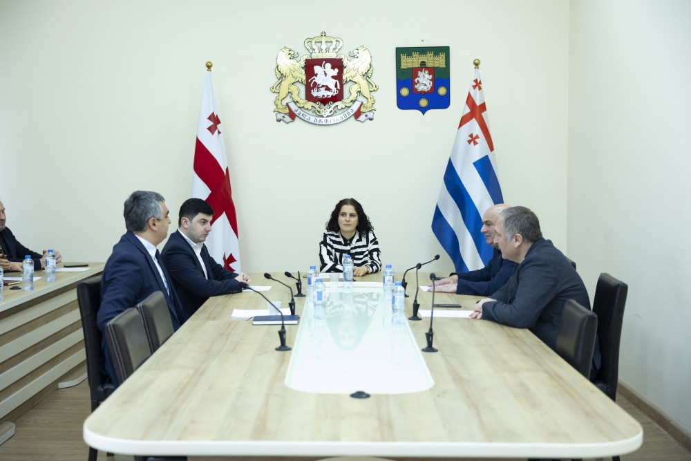 საფინანსო-საბიუჯეტო და ეკონომიკურ საკითხთა კომიტეტის სხდომა