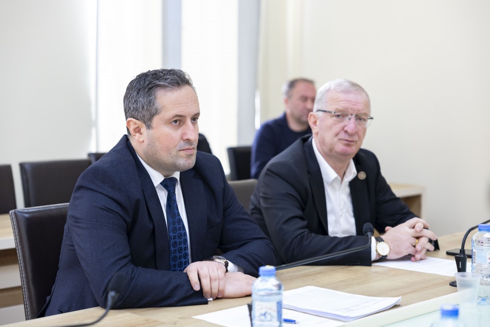 საფინანსო-საბიუჯეტო და ეკონომიკურ საკითხთა კომიტეტის სხდომა 