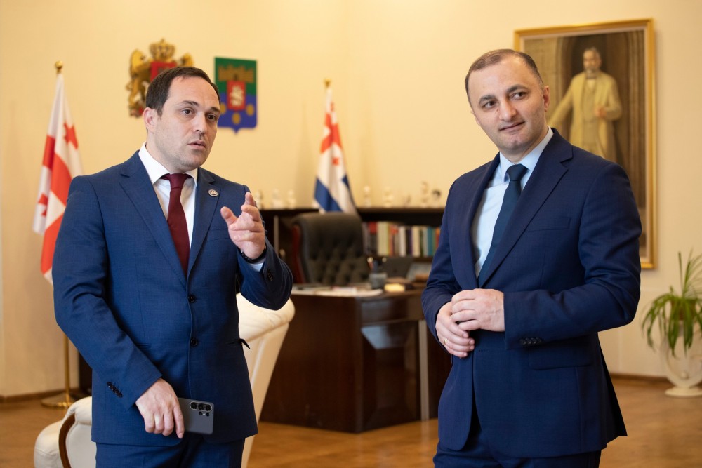 აჭარის უმაღლეს საბჭოში საქართველოს პარლამენტის კულტურის კომიტეტის გასვლითი სხდომა გაიმართა