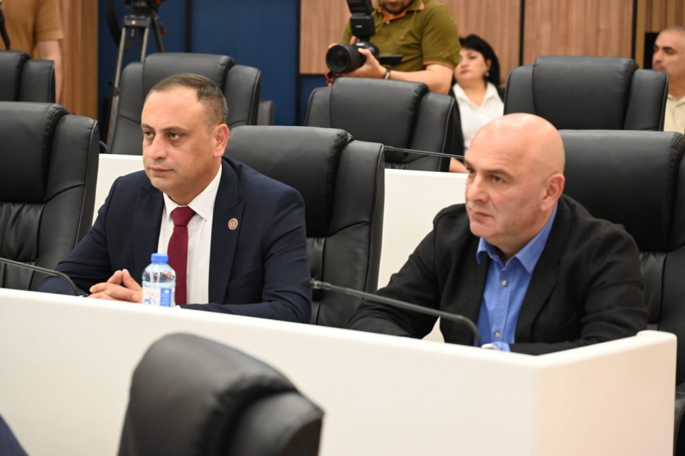 საქართველოს პარლამენტის საპროცედურო საკითხთა და წესების კომიტეტის გასვლითი სხდომა აჭარის უმაღლეს საბჭოში