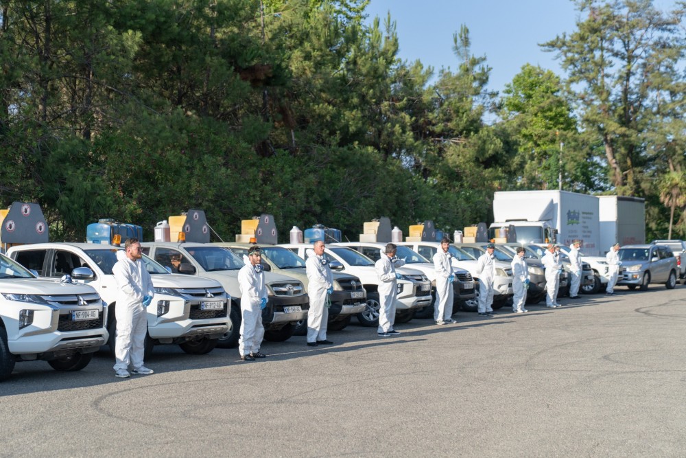        აზიური ფაროსანას წინააღმდეგ ბრძოლა აქტიურად მიმდინარეობს