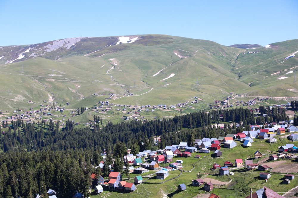 ვახტანგ ბერიძე ნაჩადრევსა და ბეშუმში მემთეურებს შეხვდა