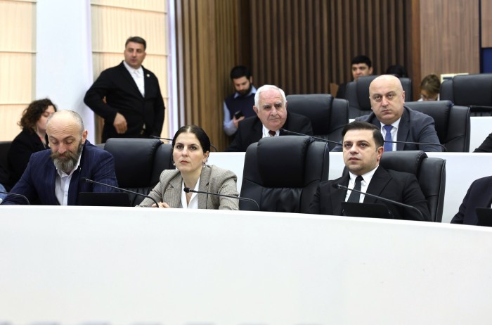 პლენარულ სხდომაზე აჭარის ჯანმრთელობისა და სოციალური დაცვის მინისტრს და უსკოს თავმჯდომარეს მოუსმინეს