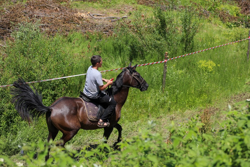„შუამთობა 2025“