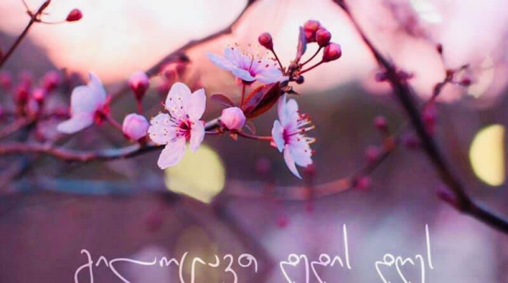 გილოცავთ დედის დღეს!