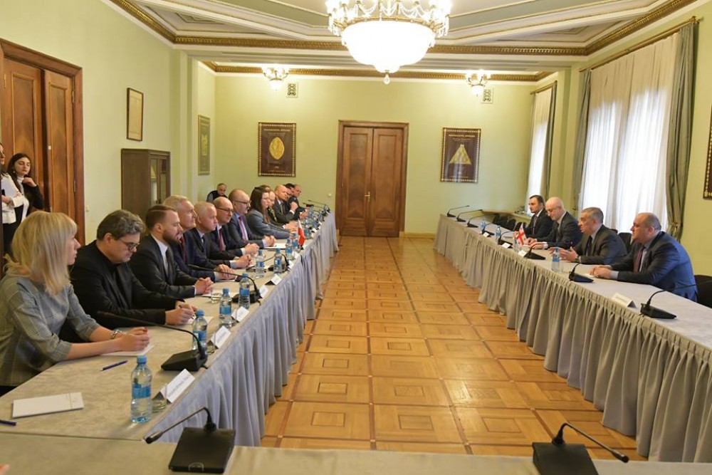 დავით გაბაიძე პარლამენტში გამართულ შეხვედრას დაესწრო