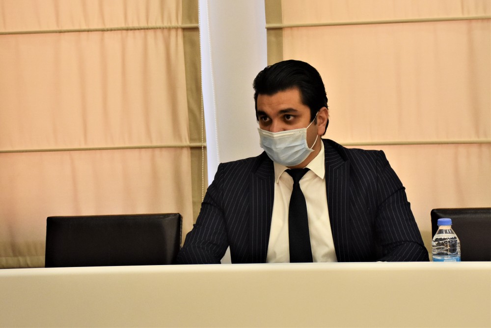 კომიტეტები პროექტის პლენარულ სხდომაზე გატანას მხარს უჭერენ