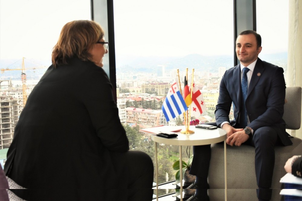 დავით გაბაიძე დაგმარ ჰიუგერს შეხვდა