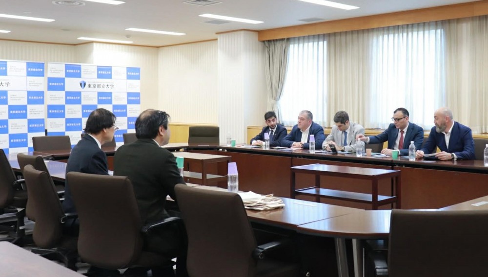 სამუშაო ვიზიტი ტოკიოში