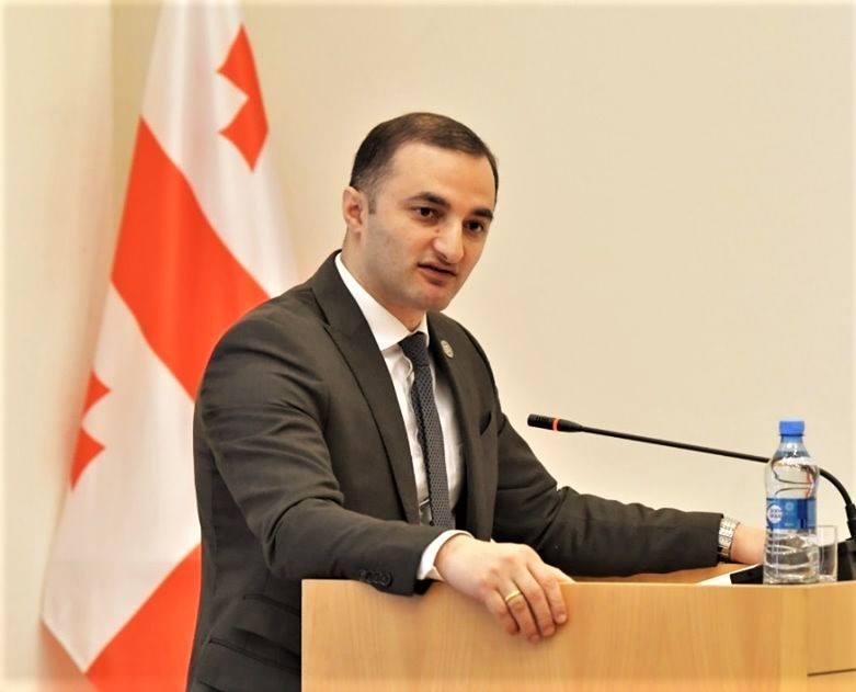 უმაღლესი საბჭოს ინიციატივას კომიტეტმა მხარი დაუჭირა