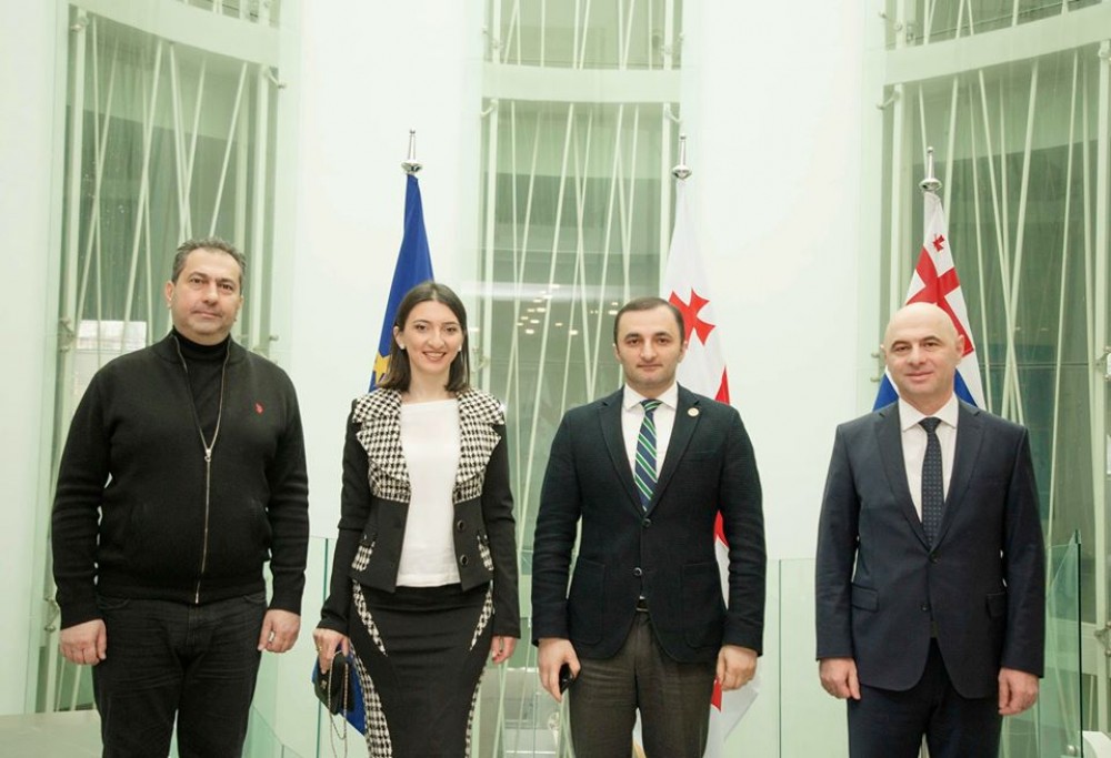 შეხვედრა ჭადრაკის საერთაშორისო ფედერაციის (FIDE) წარმომადგენლებთან