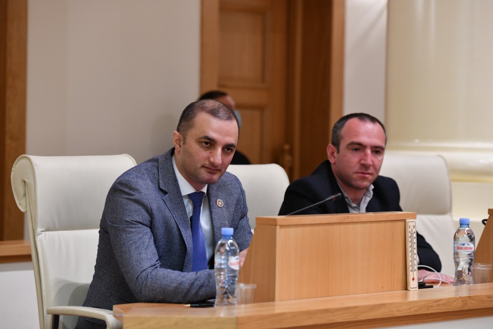 77 მომხრე, 0 წინააღმდეგი-დავით გაბაიძის კანონპროექტი პარლამენტში