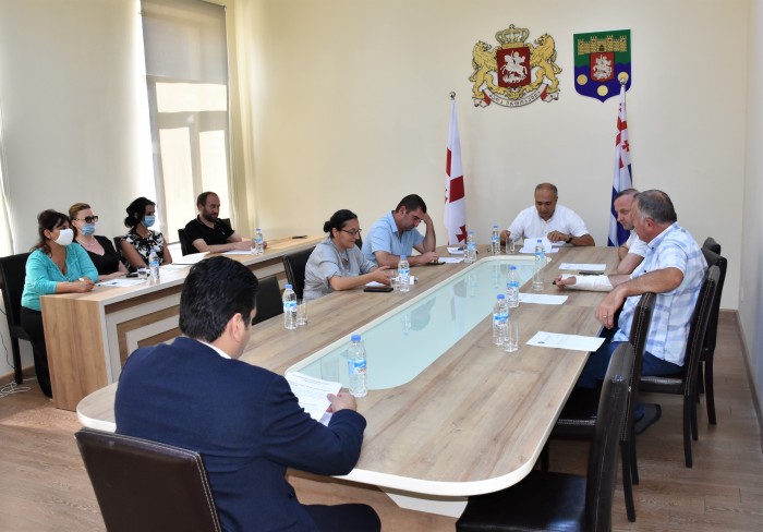 კომიტეტის სხდომაზე ბიუჯეტის 2 კვარტლის შედეგები მოისმინეს 