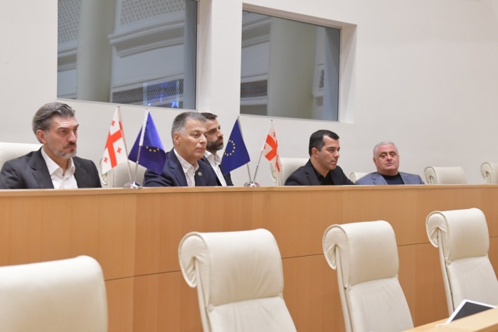 დავით გაბაიძე, პარლამენტში, პრემიერ-მინისტრის ანგარიშის მოსმენას დაესწრო