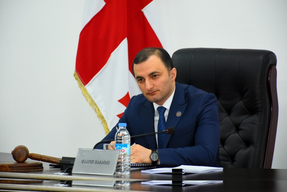 13 ხმით 2-ის წინააღმდეგ - საკანონმდებლო პაკეტი დამტკიცებულია