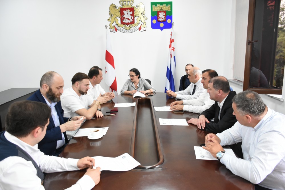  საბჭოს ანგარიში პლენარულ სხდომაზე განიხილება