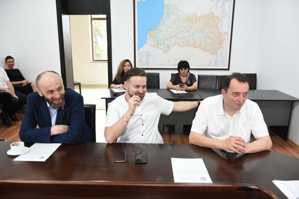  საბჭოს ანგარიში პლენარულ სხდომაზე განიხილება