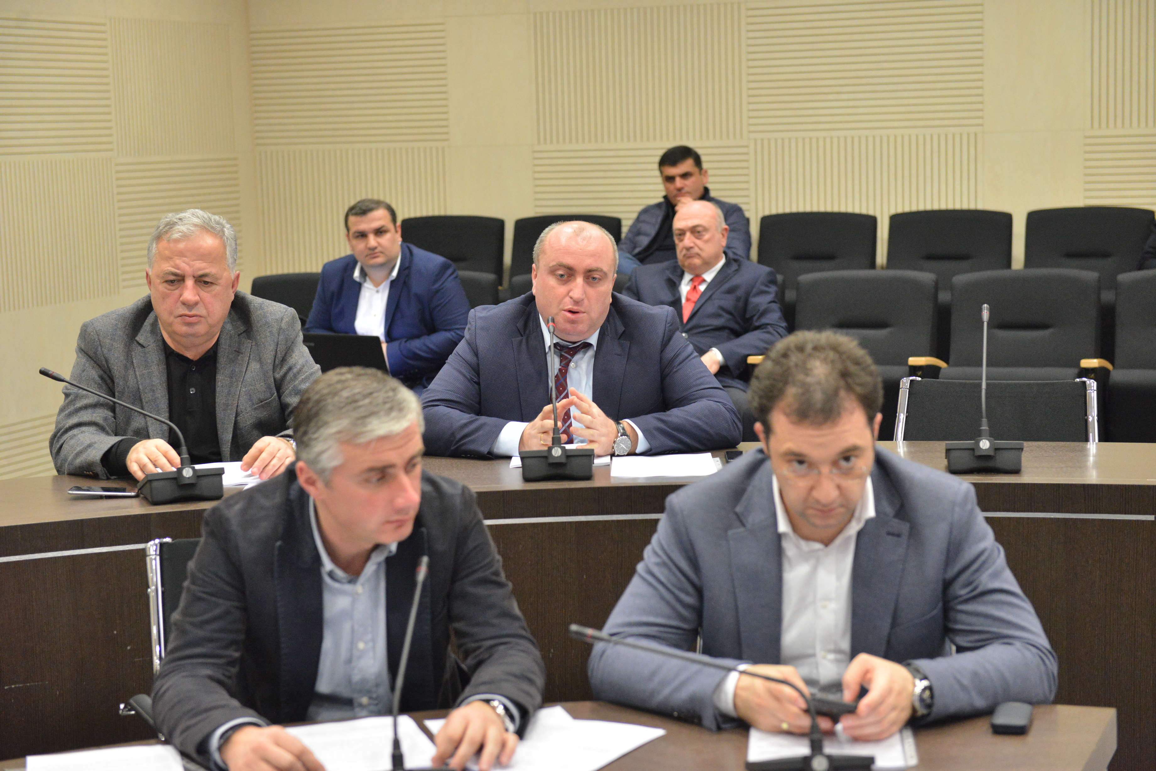 &nbsp;პარლამენტმა უმაღლესი საბჭოს ინიციატივას მხარი დაუჭირა