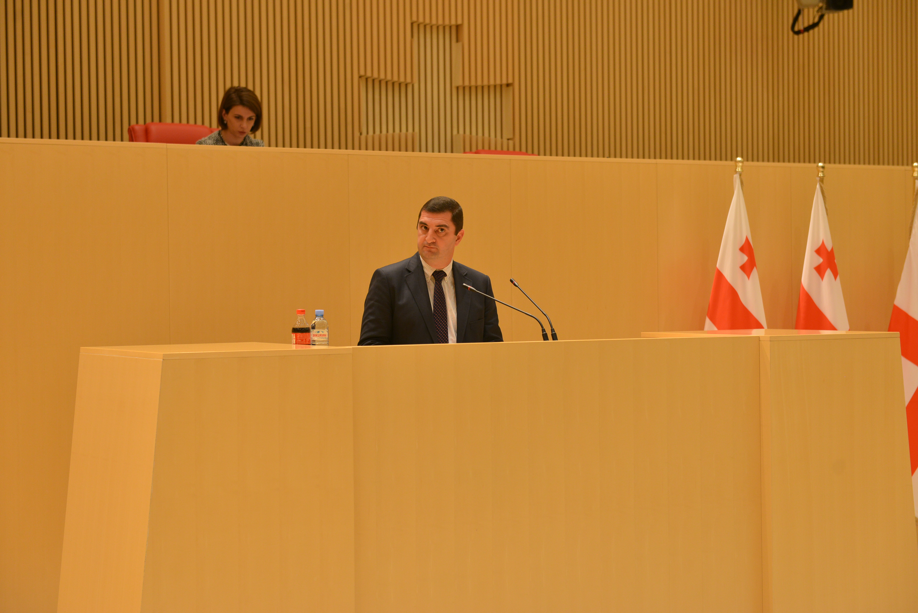 &nbsp;პარლამენტმა უმაღლესი საბჭოს ინიციატივას მხარი დაუჭირა