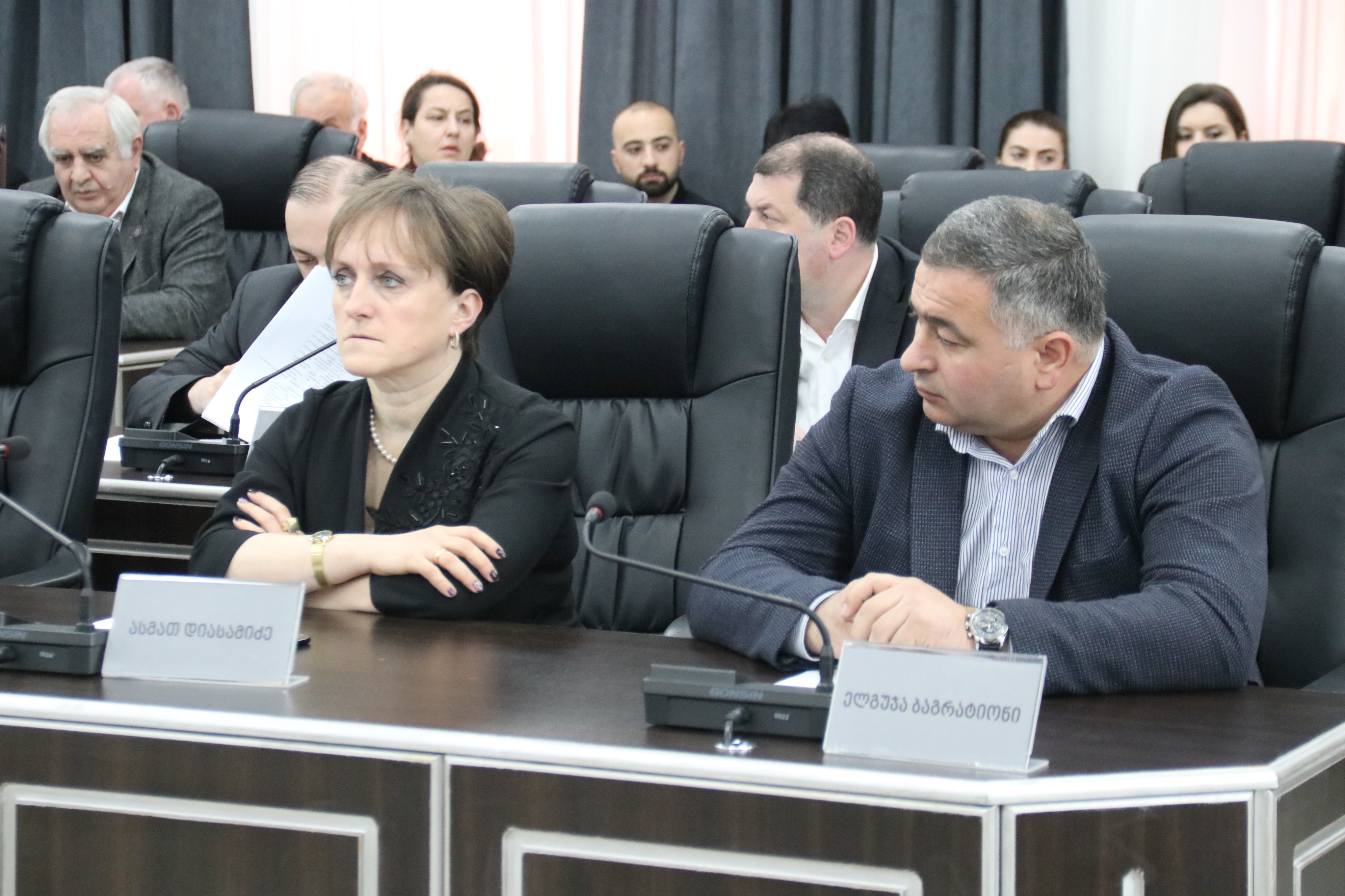 საკონსტიტუციო ცვლილებები პირველი მოსმენით მიღებულია