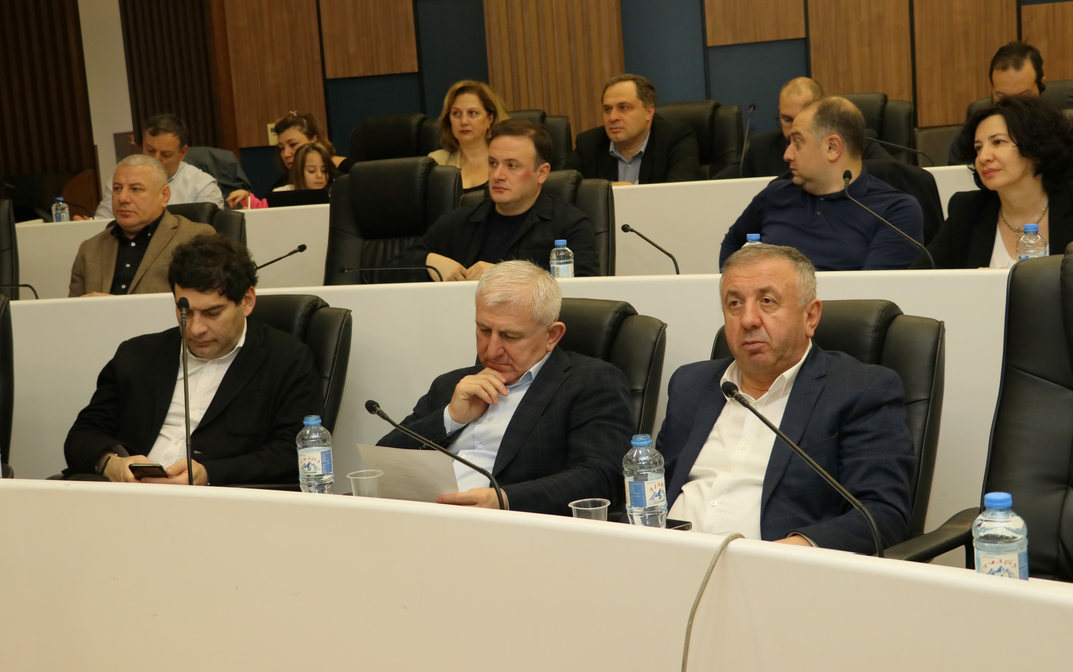 &nbsp;&nbsp;&nbsp;&nbsp; საქართველოს პარლამენტის კომიტეტის გასვლითი სხდომა უმაღლეს საბჭოში