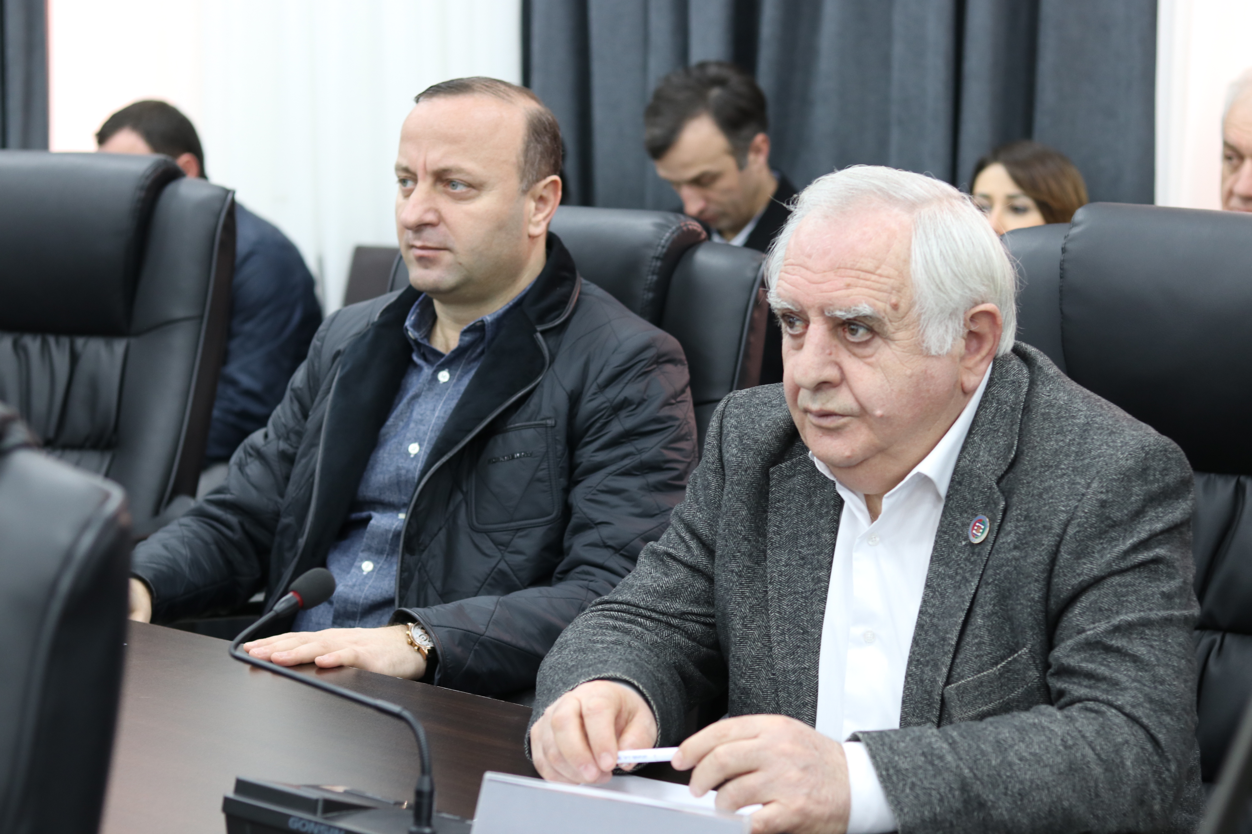 საკონსტიტუციო ცვლილებები პირველი მოსმენით მიღებულია