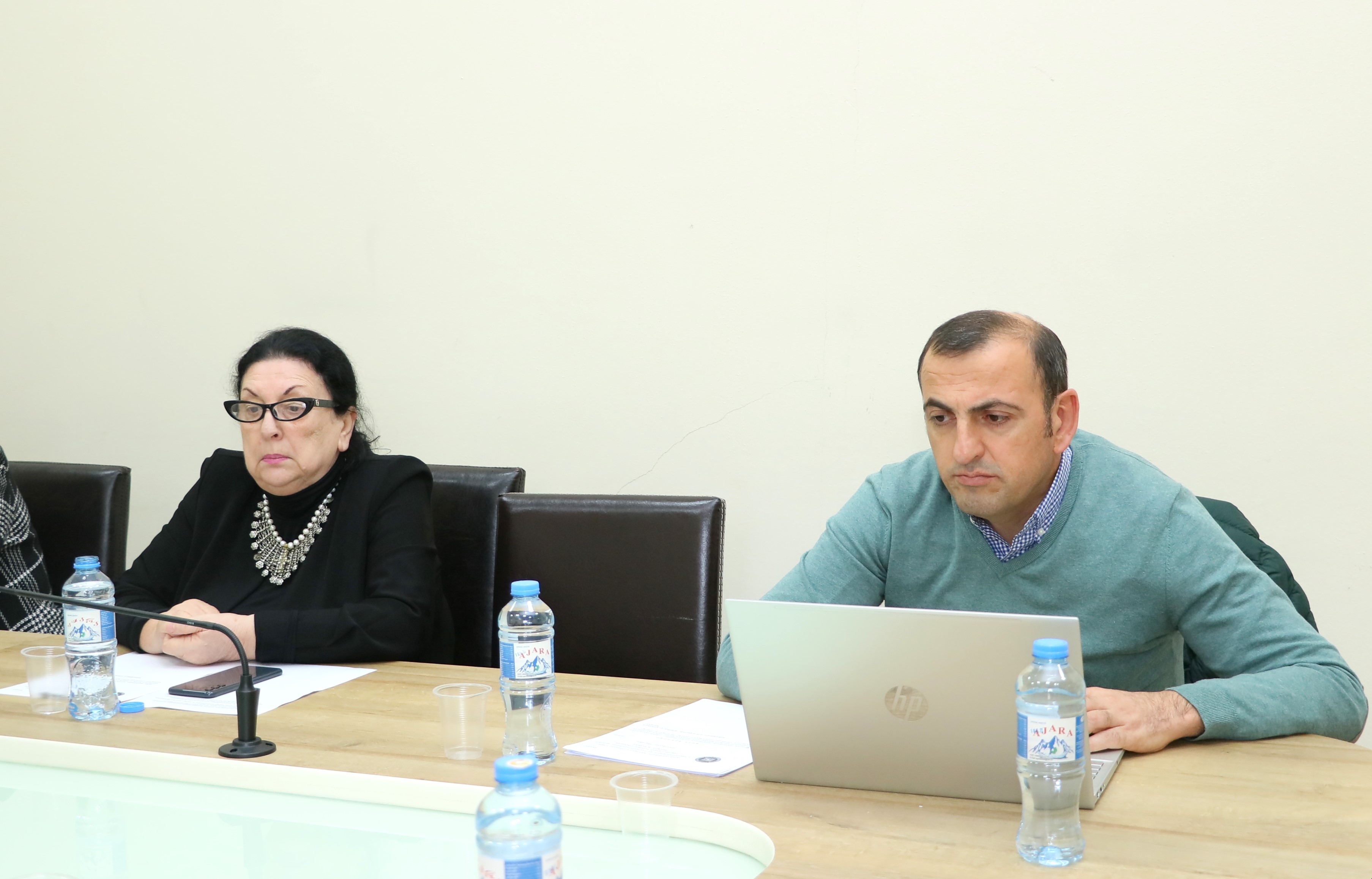 კომიტეტებმა კორექტირებული ბიუჯეტის პროექტი განიხილეს