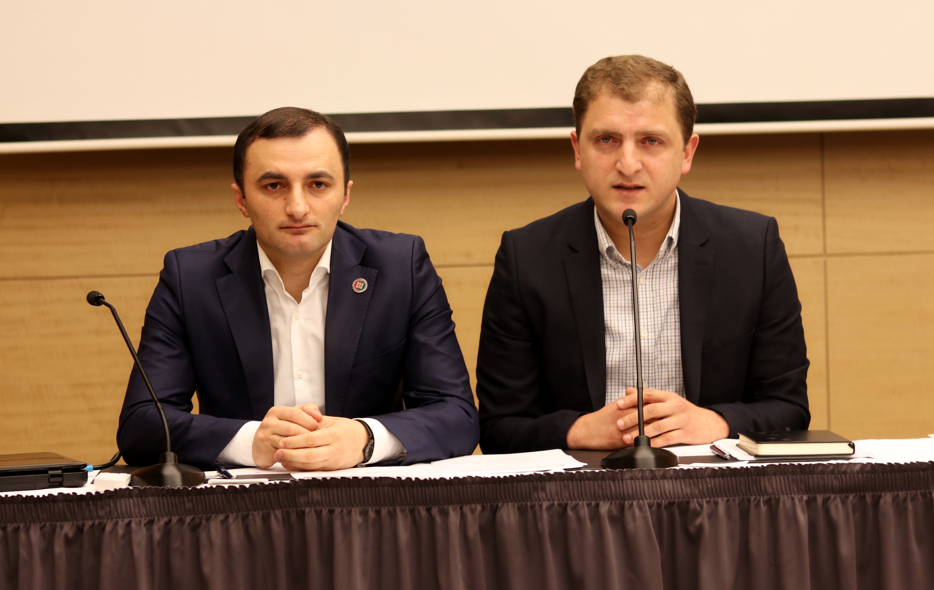 საკონსტიტუციო ცვლილებების განხილვა